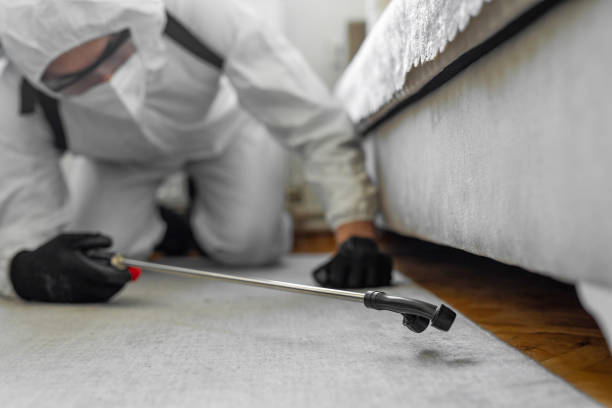 Professional Ant Control technician working in West Van Lear, KY