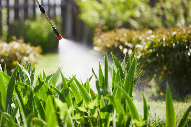 24/7 Emergency Ant Control experts in West Van Lear, KY